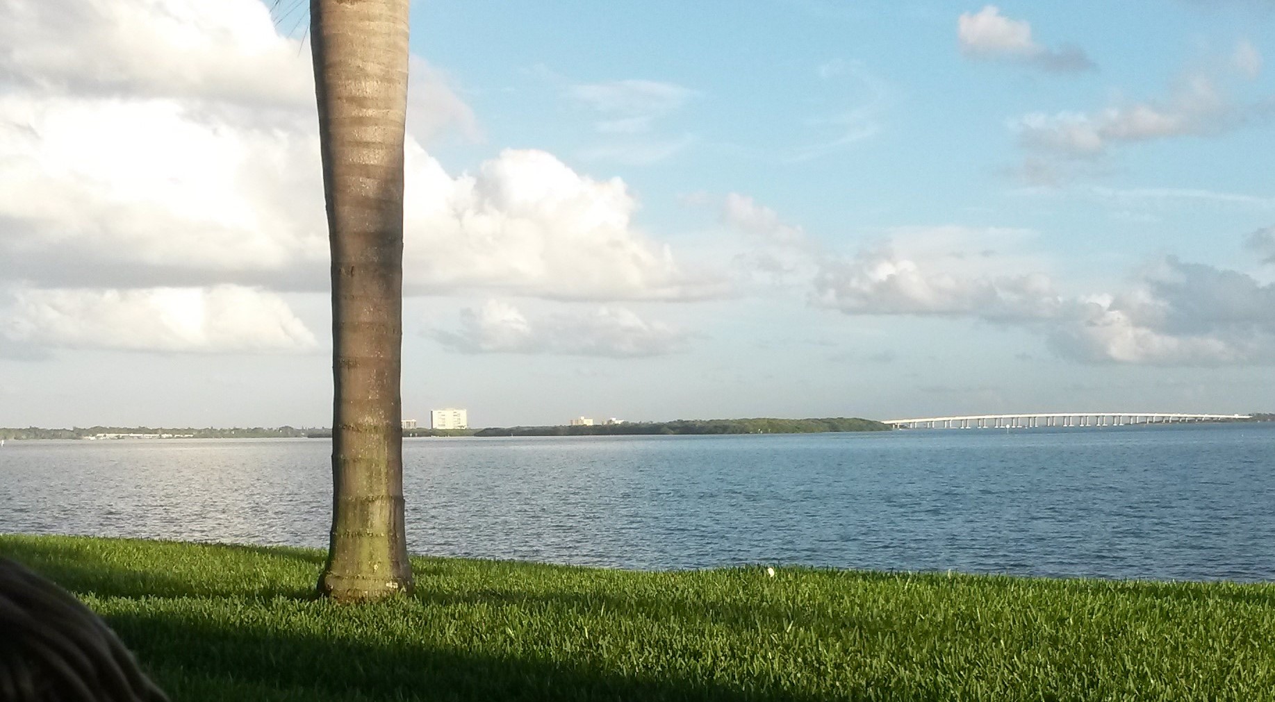 Florida View
